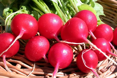 radish on the table