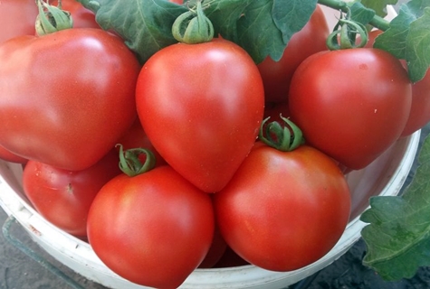 tomato strawberry tree in a bowl