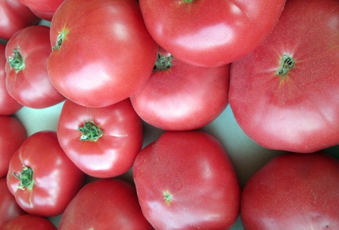 tomato merah jambu Katya f1 di atas meja