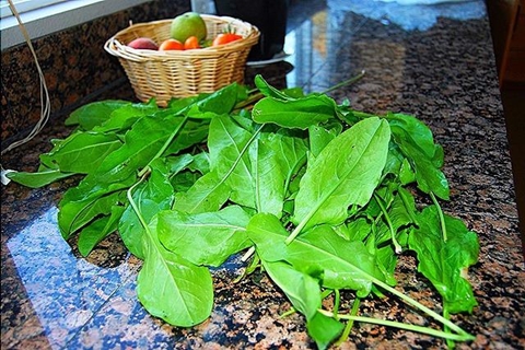 sorrel on the table