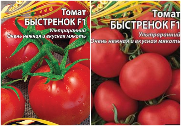 tomato seeds fast