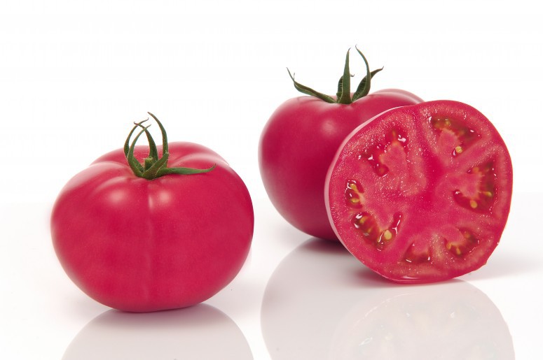 tomato merah jambu