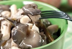 Mga recipe kung paano mabilis at masarap na mga kabute ng talaba ng asin sa bahay