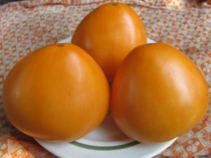 Características y descripción del tomate variedad Golden Domes, su rendimiento