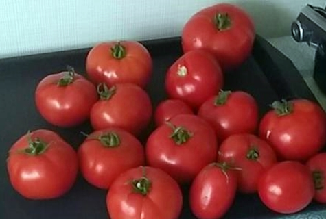 irishka tomato on the table