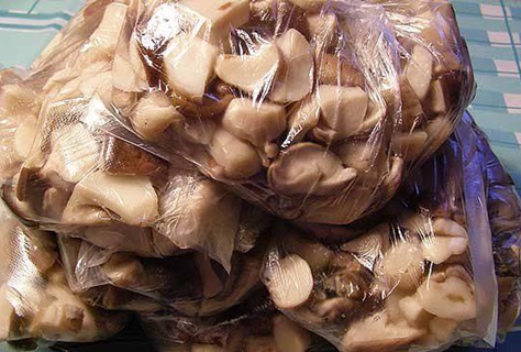 oyster mushrooms in a bag for freezing