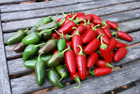 piment jalapeno