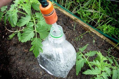 watering in the ground