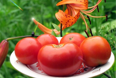 Tomate Sibiryachok sur une assiette