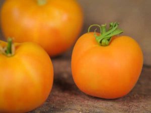 Characteristics and description of the tomato variety Peach, its yield