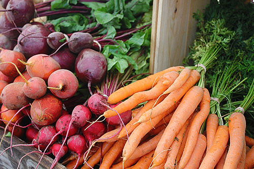 zanahorias y remolachas