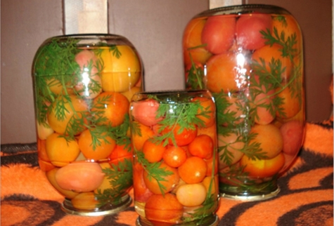 tomatoes with carrot tops in jars