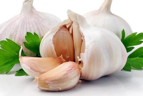 garlic on the table