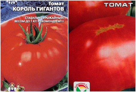 graines de tomates King of Giants