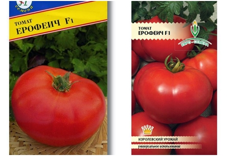 biji tomato Erofeich F1