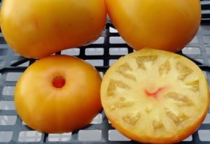 Características y descripción de la variedad de tomate Grandma's kiss, su rendimiento.