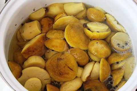 salting porcini mushrooms