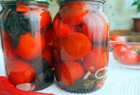 tomatoes with apple cider vinegar on the table in jars