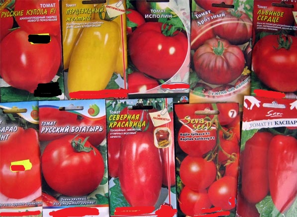 tomato varieties