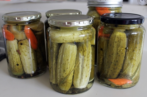 pickled cucumbers with celery in jars