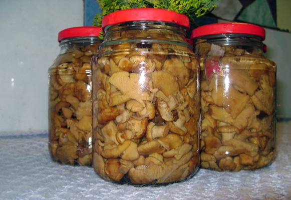 jars with pickled chanterelles