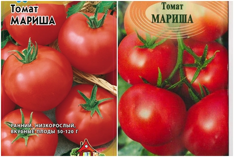 biji tomato marisha