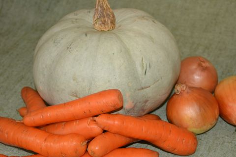 citrouille et carottes