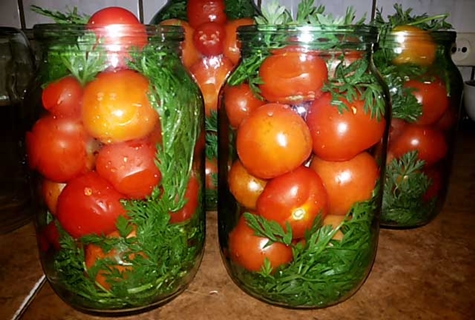 tomatoes with carrot tops on the table