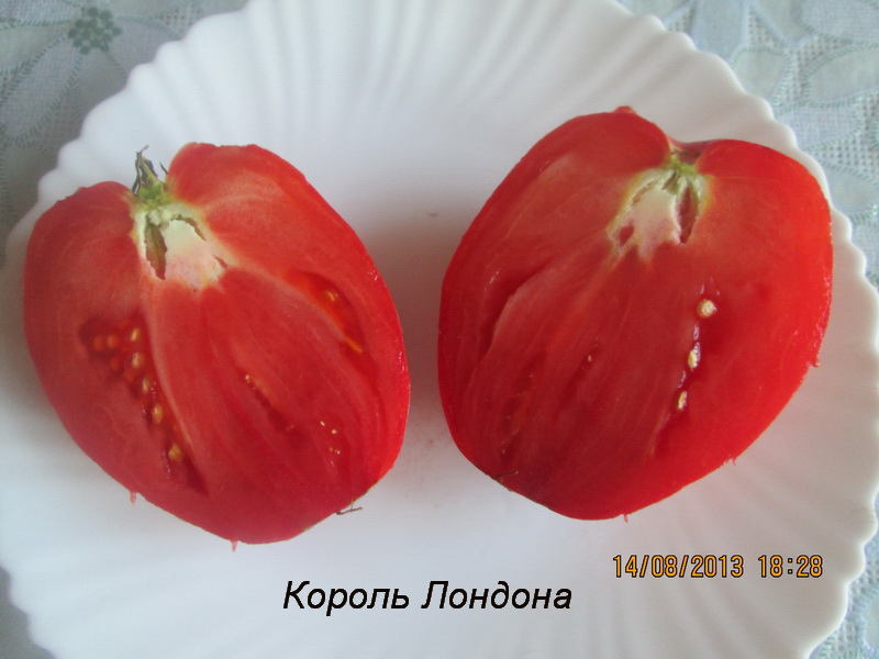 Tomate King of London à l'intérieur