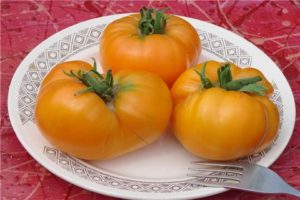 Ciri dan keterangan mengenai varieti tomato gergasi Leningrad, hasilnya