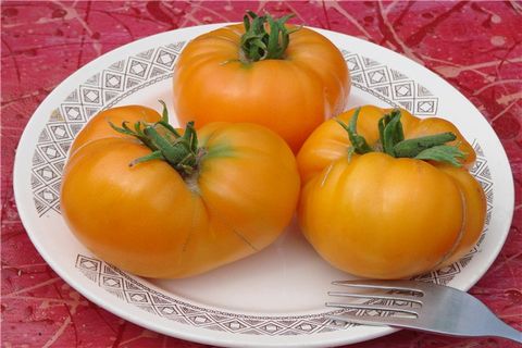 tomates en un plato