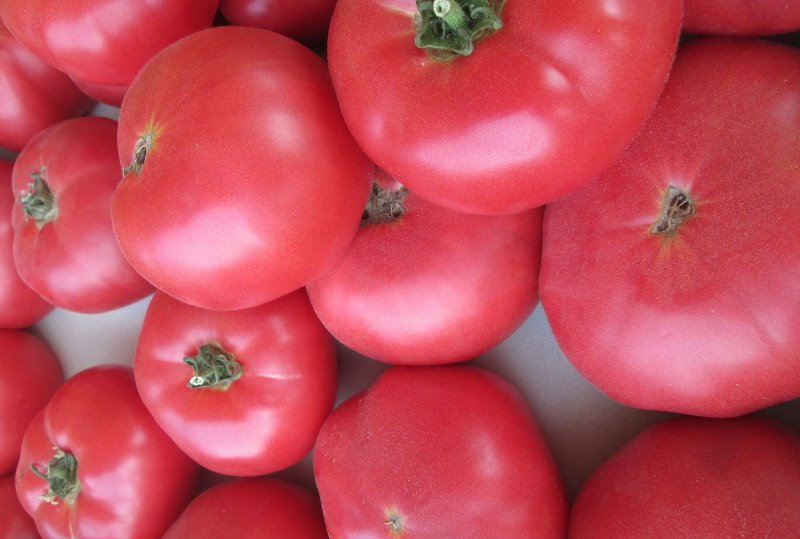 beaucoup de tomates