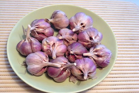 garlic on a plate