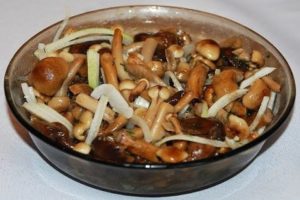 A simple recipe for making pickled mushrooms for the winter