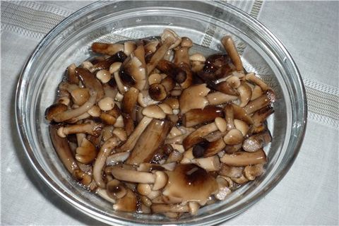 mushrooms in a bowl