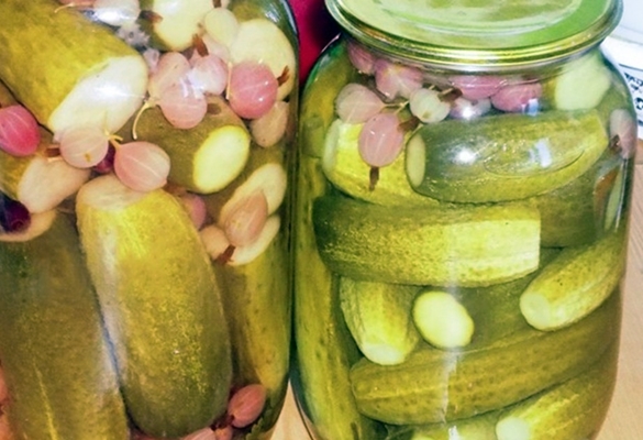 concombres marinés aux groseilles sur la table