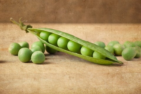 kacang polong