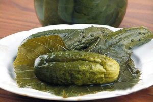 A simple recipe for pickling cucumbers in grape leaves for the winter