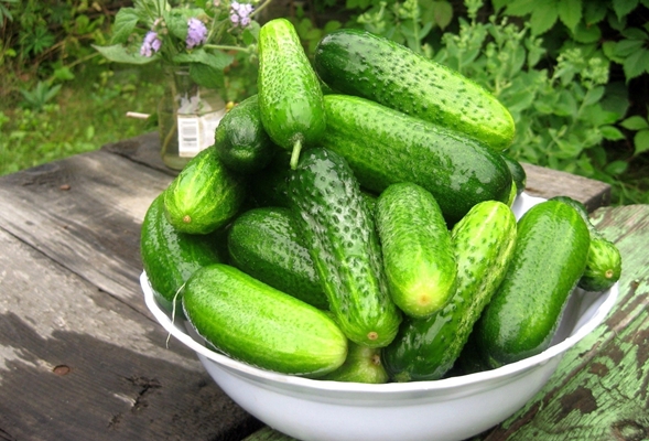 cucumbers in a bowl