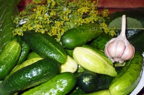 villainous canned cucumbers with vodka on a plate