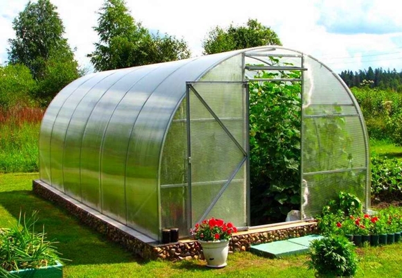 greenhouse in the garden