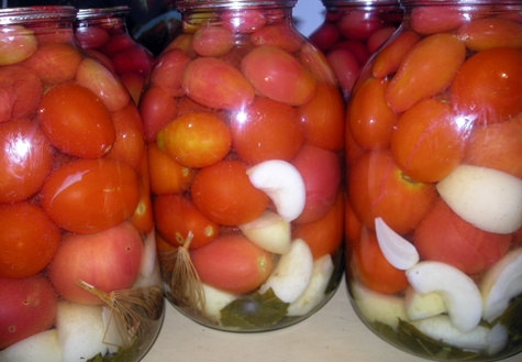 tomatoes with apple cider vinegar in jars