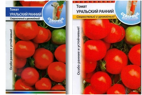 graines de tomate précoce de l'Oural