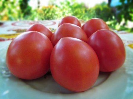 tomatoes on a plate