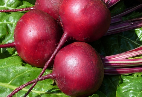 beets on the table