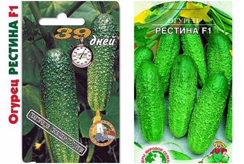 cucumber seeds Restin F1