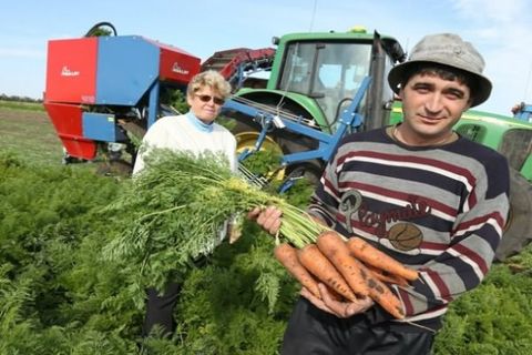 harvester harvesting