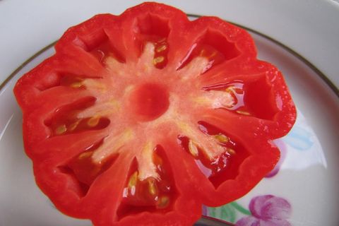 bakul cendawan tomato