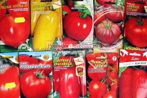 varieti tomato