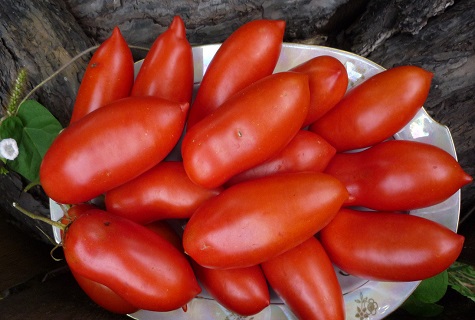 tomato dalam mangkuk